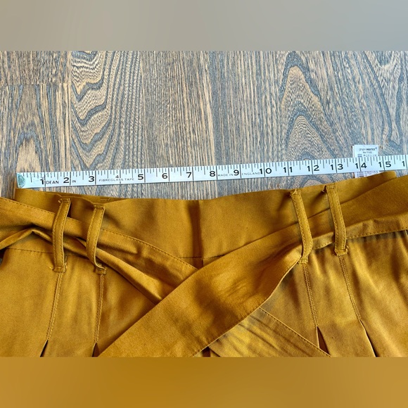 Zara Wide Leg Tie-Waist Pants - Picture 6 of 9